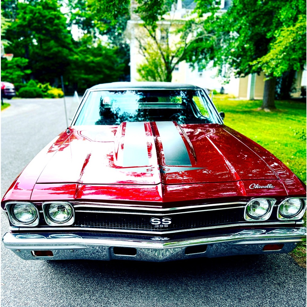 Meet your Posher, Raphael